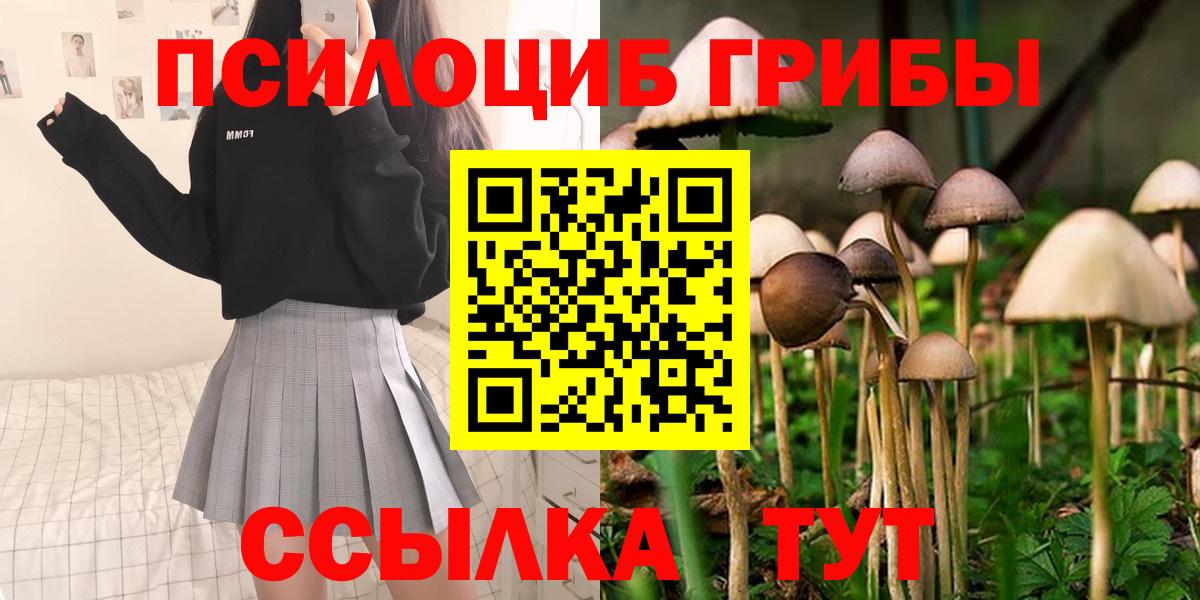 Псилоцибиновые грибы Psilocybine cubensis  Вход с VPN  Псилоцибиновые грибы мухоморы  Грозный 